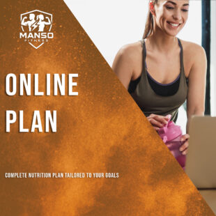 ONLINE PLAN